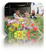 collage image title